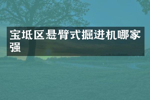 寶坻區(qū)懸臂式掘進機哪家強