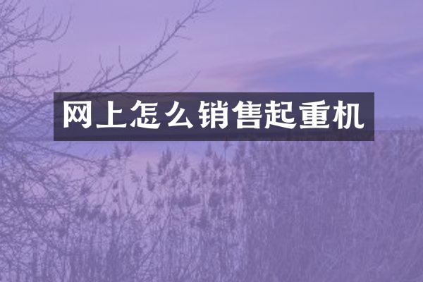 網(wǎng)上怎么銷售起重機