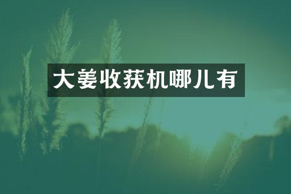 大姜收獲機(jī)哪兒有