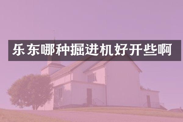 樂東哪種掘進機好開些啊