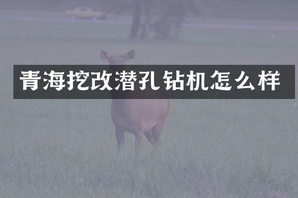 青海挖改潛孔鉆機怎么樣