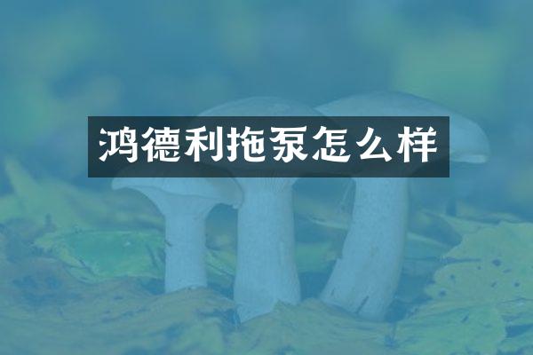 鴻德利拖泵怎么樣