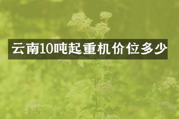 云南10噸起重機(jī)價(jià)位多少