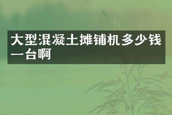 大型混凝土攤鋪機多少錢一臺啊