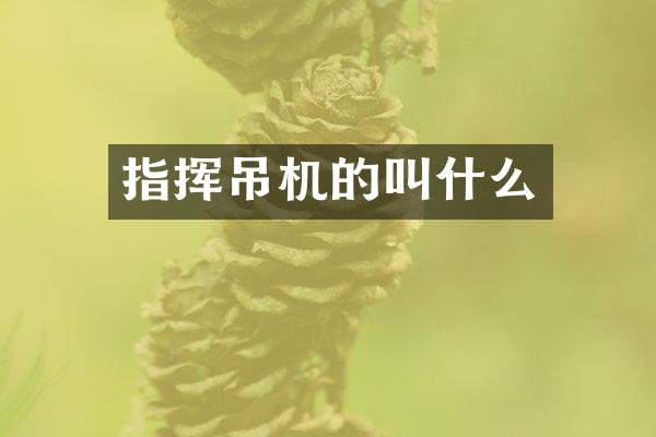 指揮吊機(jī)的叫什么