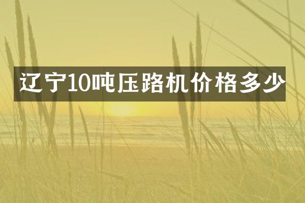 遼寧10噸壓路機(jī)價(jià)格多少