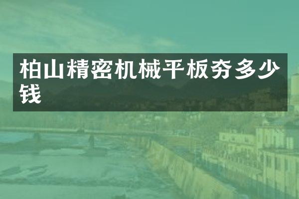 柏山精密機(jī)械平板夯多少錢