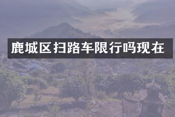 鹿城區(qū)掃路車限行嗎現在