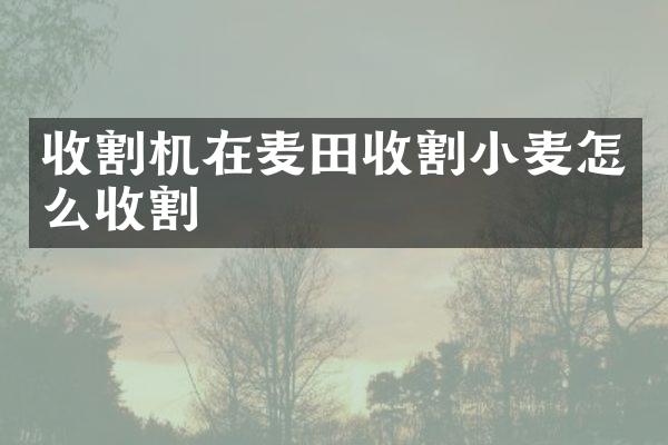 收割機(jī)在麥田收割小麥怎么收割