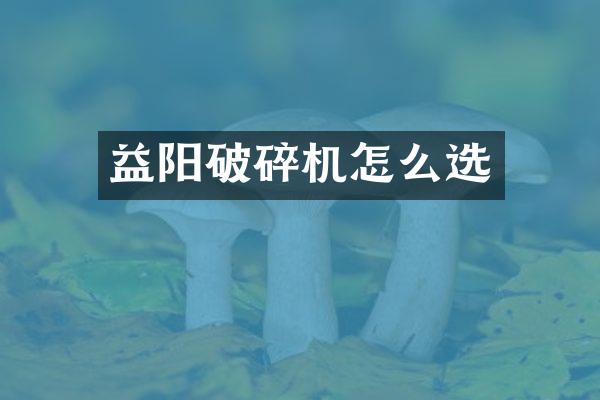 益陽破碎機怎么選