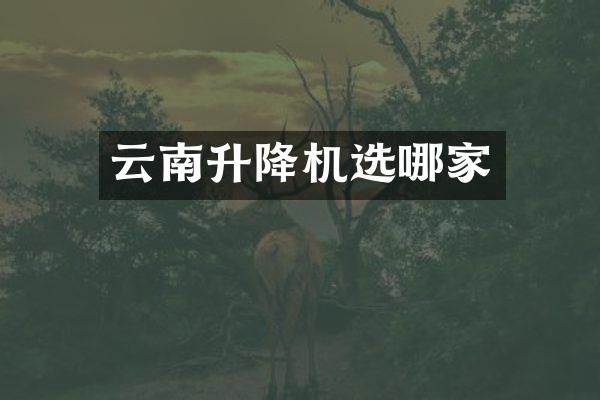 云南升降機選哪家