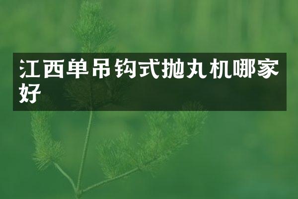 江西單吊鉤式拋丸機哪家好