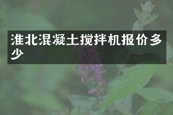 淮北混凝土攪拌機報價多少