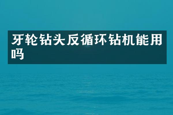 牙輪鉆頭反循環(huán)鉆機能用嗎