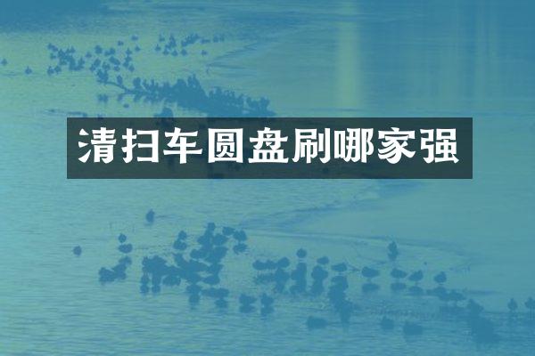清扫车圆盘刷哪家强