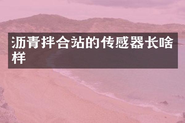 瀝青拌合站的傳感器長啥樣