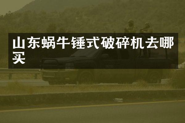 山東蝸牛錘式破碎機(jī)去哪買