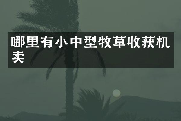 哪里有小中型牧草收獲機賣