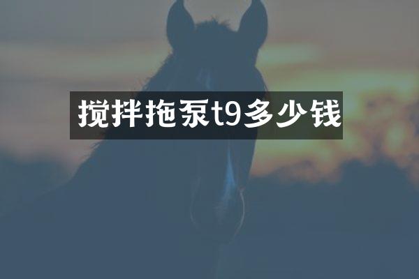 攪拌拖泵t9多少錢