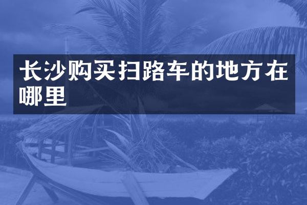 長沙購買掃路車的地方在哪里