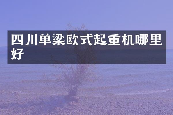 四川單梁歐式起重機哪里好