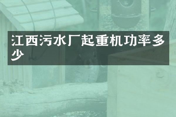 江西污水廠起重機(jī)功率多少