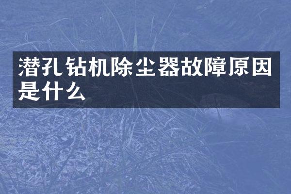 潛孔鉆機(jī)除塵器故障原因是什么