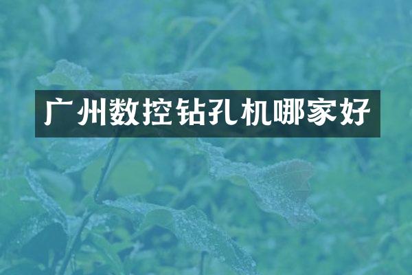 廣州數(shù)控鉆孔機哪家好