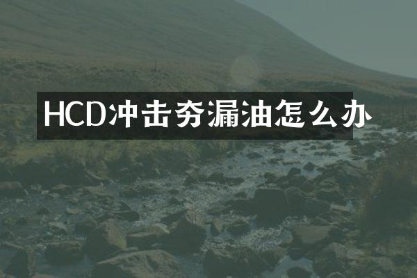 HCD沖擊夯漏油怎么辦