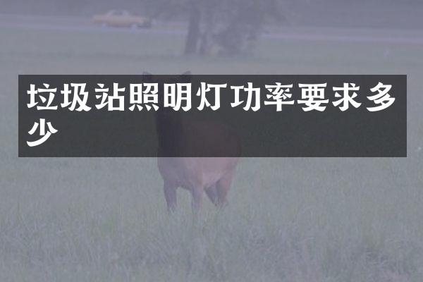 垃圾站照明燈功率要求多少