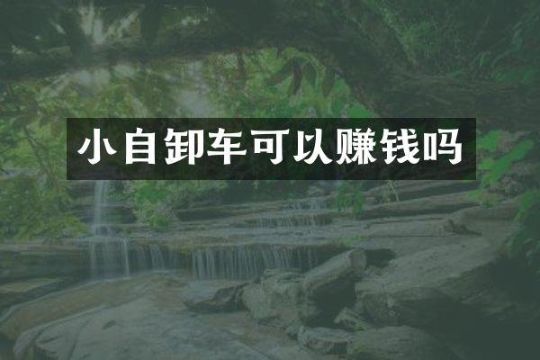 小自卸車可以賺錢嗎