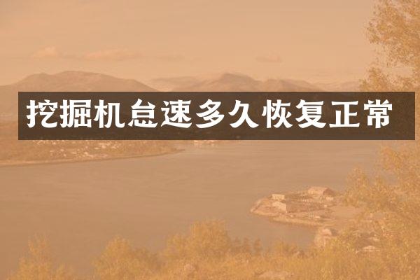 挖掘機(jī)怠速多久恢復(fù)正常