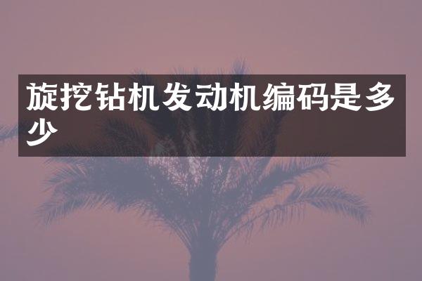 旋挖鉆機(jī)發(fā)動(dòng)機(jī)編碼是多少