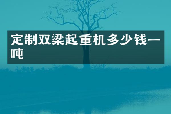 定制雙梁起重機(jī)多少錢(qián)一噸