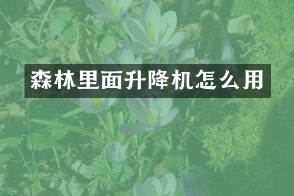 森林里面升降機怎么用