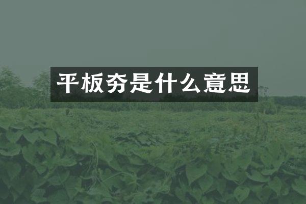 平板夯是什么意思