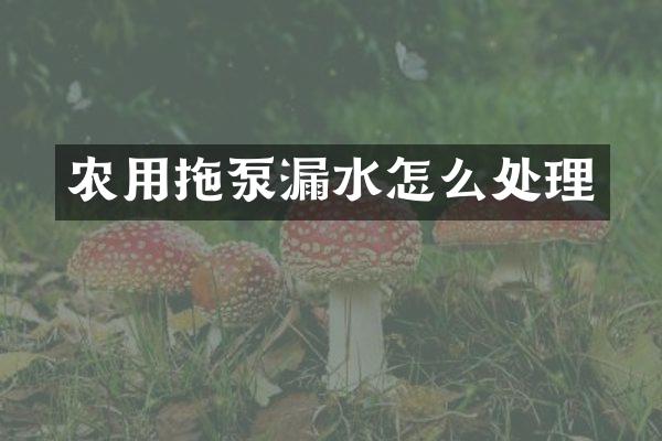 農(nóng)用拖泵漏水怎么處理