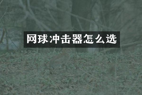 網(wǎng)球沖擊器怎么選