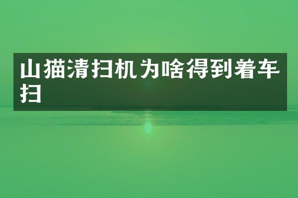 山貓清掃機(jī)為啥得到著車掃