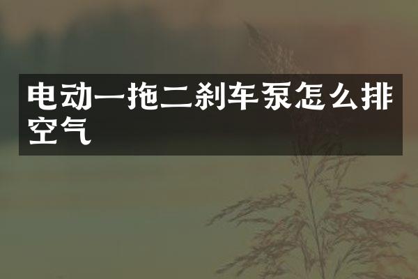 電動一拖二剎車泵怎么排空氣