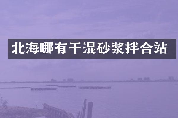 北海哪有干混砂漿拌合站