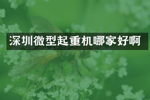 深圳微型起重機(jī)哪家好啊