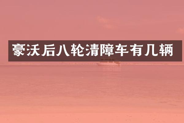 豪沃后八輪清障車有幾輛