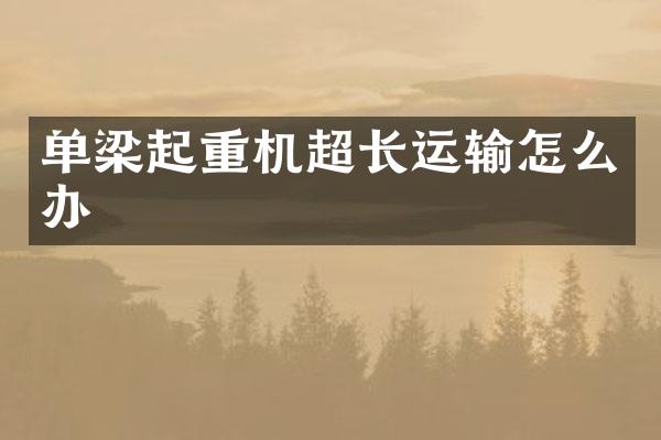 單梁起重機超長運輸怎么辦