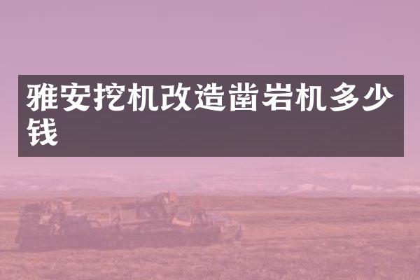 雅安挖機(jī)改造鑿巖機(jī)多少錢