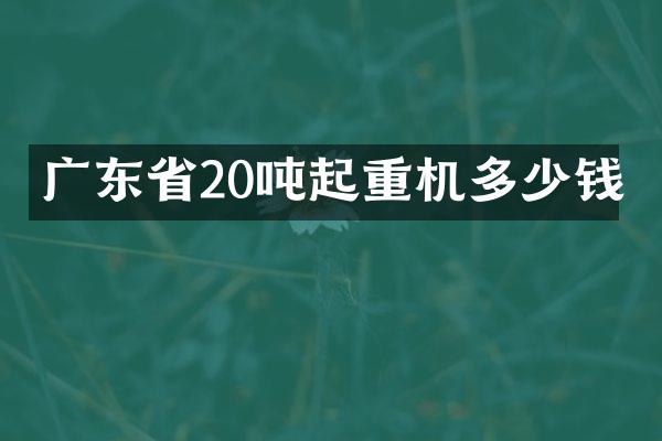 廣東省20噸起重機(jī)多少錢