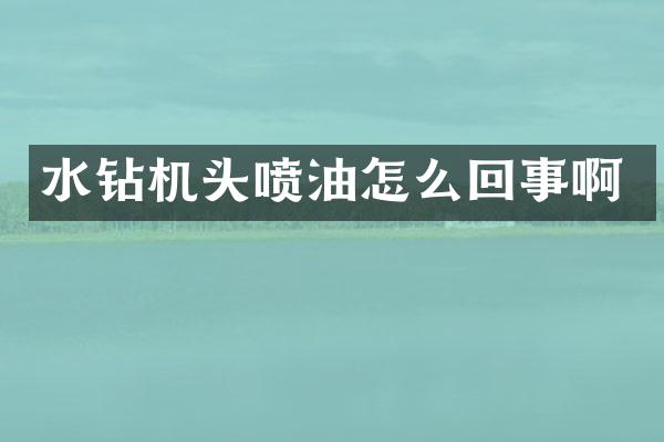 水鉆機頭噴油怎么回事啊