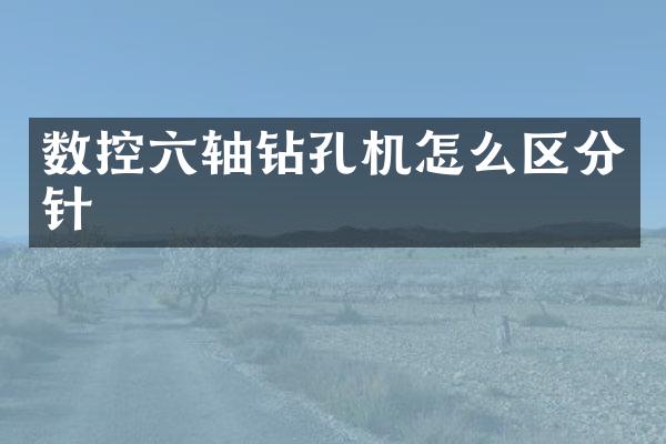 數(shù)控六軸鉆孔機怎么區(qū)分針