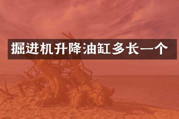 掘進(jìn)機(jī)升降油缸多長(zhǎng)一個(gè)