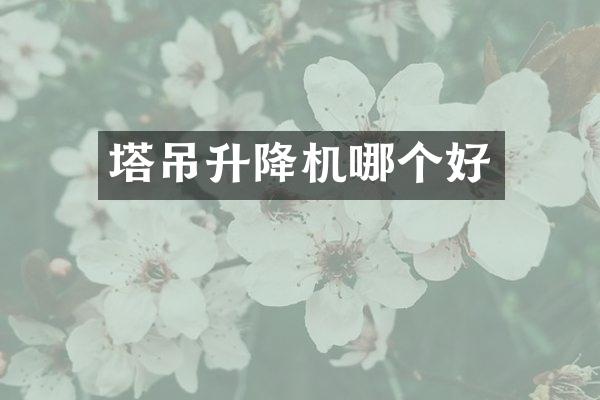 塔吊升降機哪個好